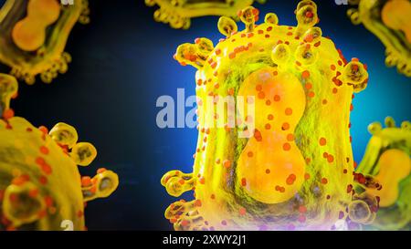 Mpox-Virus, Monkeypox-Viren, infektiöse Zoonose, Monkeypox-Virus-Ausbruch oder Mpox-Krankheit-Pandemie als doppelsträngiger DNA-Viruspathogen Stockfoto