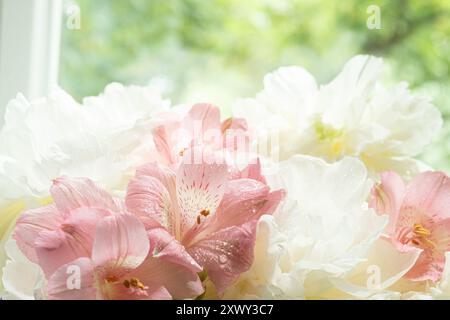 Pfingstrosen und Alstroemeria im sonnendurchfluteten Fenster mit sanften rosa und weißen Blumen Stockfoto