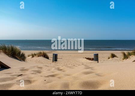 Verlassener Corona Beach Erholungsort, Nordseestrand in Maasvlakte, völlig verlassene und verlassen im Sommerwetter 2020 aufgrund der Corona- und COVID-19-Pandemie. Rotterdam, Niederlande. Rotterdam Maasvlate Beach Zuid-Holland Nederland Copyright: XGuidoxKoppesxPhotox Stockfoto