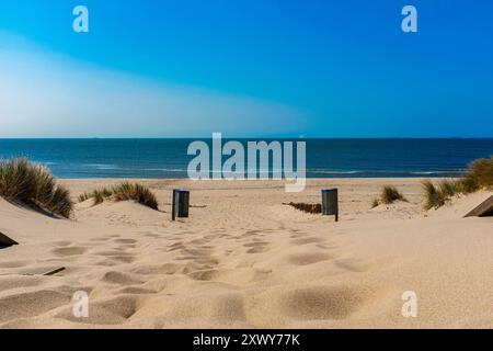 Verlassener Corona Beach Erholungsort, Nordseestrand in Maasvlakte, völlig verlassene und verlassen im Sommerwetter 2020 aufgrund der Corona- und COVID-19-Pandemie. Rotterdam, Niederlande. Rotterdam Maasvlate Beach Zuid-Holland Nederland Copyright: XGuidoxKoppesxPhotox Stockfoto