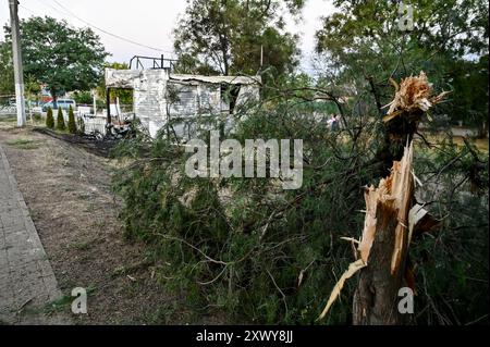 MALOKATERYNIVKA, UKRAINE - 20. AUGUST 2024 - Ein zerbrochener Thuja befindet sich in der Nähe des Levada-Kindercafés im zentralen Park, das nach einem russischen Artillerieanschlag niedergebrannt ist, Dorf Malokateryniwka, Region Zaporischschhia, Südostukraine. Als Folge des russischen Angriffs starben zwei Menschen, darunter ein 14-jähriger Junge. Sechs Kinder sind im Krankenhaus, zwei Jungen leiden an Rückenmarkverletzungen. Stockfoto