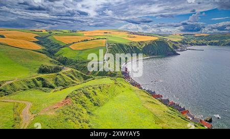 Crovie Aberdeenshire Schottland Gerstenfelder im Sommer über den roten Dächern der Häuser Stockfoto