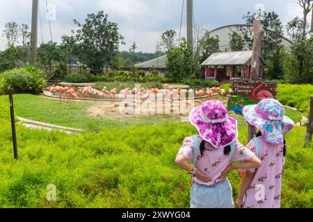 Rückansicht zweier reisender junger Mädchen im Flamingohemd, mit rosa Schirmhut, Blick auf die echten Flamingos Vögel, Vogelparadies. Singapur. Stockfoto