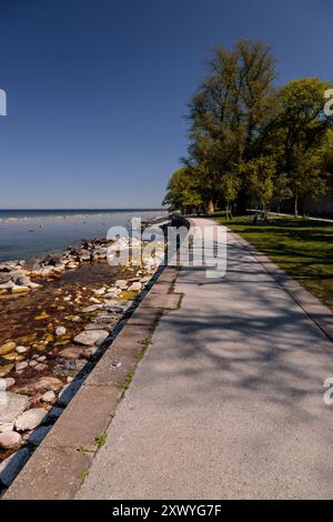 Küste entlang der Ostseeküste bei Visby, Gotland, Schweden Stockfoto