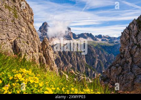 Wunderschöne Aussicht durch blühende gelbe Blumen auf hohen Bergen. Dolomiten, Südtirol, Italien Stockfoto