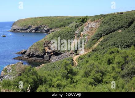 Blick auf den Küstenwanderweg (GR340) an der Nordküste von Port Kerel, Belle Ile en Mer, Bretagne, Frankreich Stockfoto