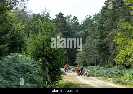 New Forest, Hampshire, Großbritannien. Eine Gruppe von Menschen gemischten Alters radelt zum Spaß auf einem Radweg im New Forest National Park Stockfoto