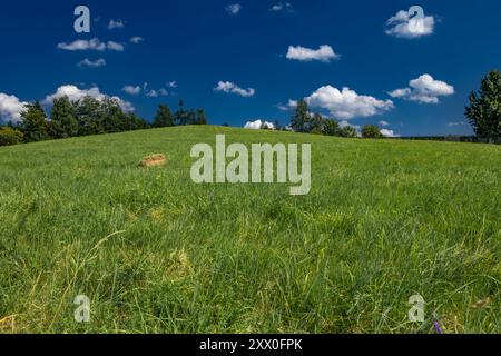 Gemähtes Gras auf einer Wiese in den schlesischen Beskiden, Bergpanorama-Landschaft Stockfoto