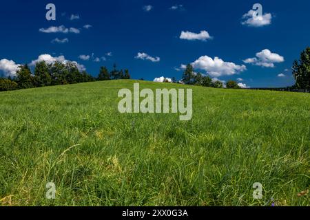 Gemähtes Gras auf einer Wiese in den schlesischen Beskiden, Bergpanorama-Landschaft Stockfoto