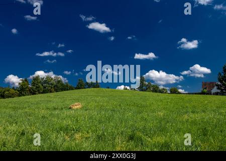 Gemähtes Gras auf einer Wiese in den schlesischen Beskiden, Bergpanorama-Landschaft Stockfoto