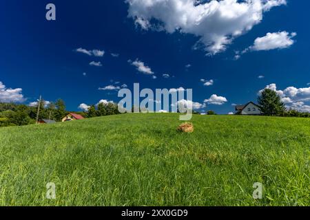 Gemähtes Gras auf einer Wiese in den schlesischen Beskiden, Bergpanorama-Landschaft Stockfoto