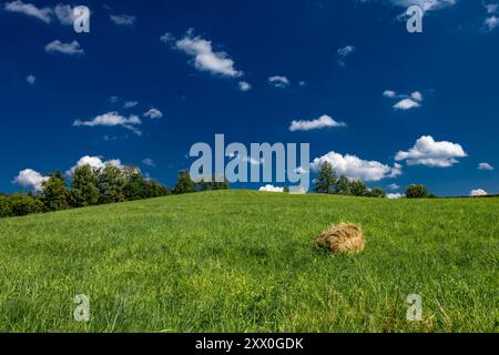 Gemähtes Gras auf einer Wiese in den schlesischen Beskiden, Bergpanorama-Landschaft Stockfoto