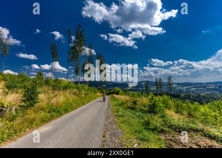 Gemähtes Gras auf einer Wiese in den schlesischen Beskiden, Bergpanorama-Landschaft Stockfoto