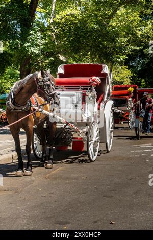 Pferdekutsche im Central Park, New York City, New York, Vereinigte Staaten Stockfoto