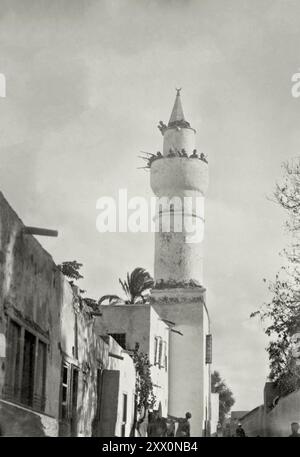 Vintage-Foto von Wächtern in Tripolis. Das Foto zeigt italienische Soldaten auf dem Balkon des Minaretts einer Moschee in Tripoli, Libyen während des Türkisch-Türkischen Krieges, der zwischen September 1911 und Oktober 1912 stattfand. Stockfoto