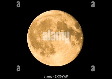 London, Großbritannien. August 2023. Eine Nahaufnahme des ersten Supermondes des 2024, auch bekannt als Sturgeon Moon oder Blauer Mond, gesehen in London. (Foto: Steve Taylor/SOPA Images/SIPA USA) Credit: SIPA USA/Alamy Live News Stockfoto