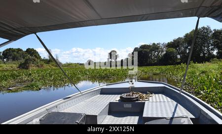 Ein Motorboot ist das ideale Transportmittel im Pantanal Stockfoto