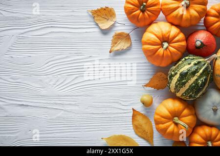 Thanksgiving und Herbstdekoration aus Herbstblättern und Kürbis auf hellem Holzhintergrund. Flach, Draufsicht mit Kopierraum. Stockfoto