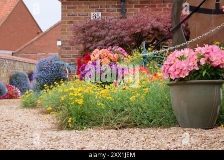 Gemischte bunte Sommerblumen auf einer Schottereinfahrt Stockfoto