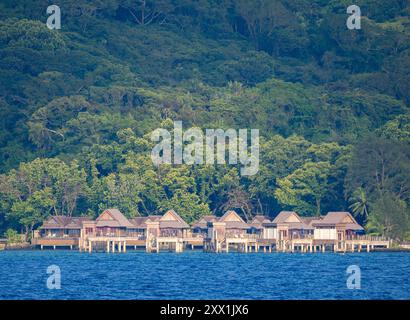 Beispiel für das dicke Laub in der Nähe eines Touristenorts, Palau, Mikronesien, Pazifik Stockfoto