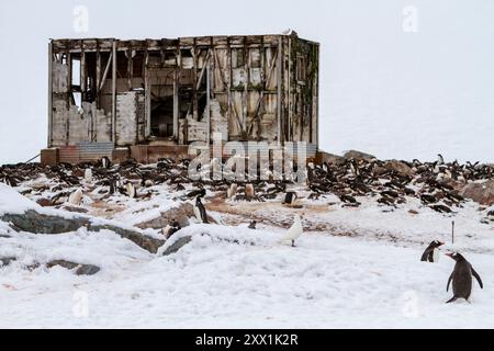 Ansichten der chilenischen inaktiven Forschungsbasis Gonzalez Videla am Wasserbootpunkt in Paradise Bay, Antarktis, Polarregionen Stockfoto