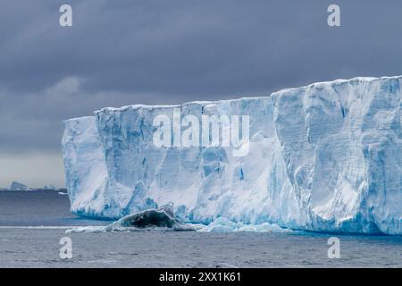 Tabellarische Eisberge im und um das Weddellmeer während der Sommermonate, Antarktis, Südmeer, Polarregionen Stockfoto