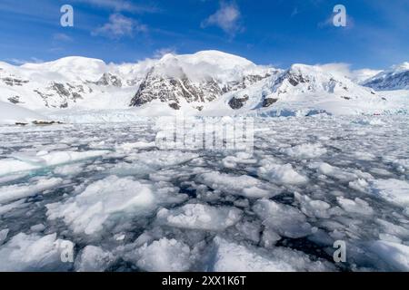 Blick auf ruhige Meere und reflektierte Berge rund um die Paradise Bay auf der westlichen Seite der Antarktischen Halbinsel, Polarregionen Stockfoto