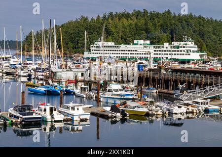 Blick auf die kleine Hafenstadt Friday Harbor auf San Juan Island, Washington State, USA, Nordamerika Stockfoto