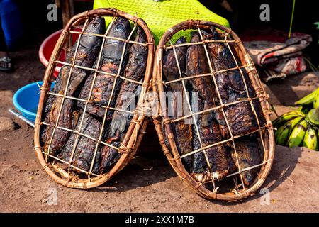 Trockenfisch zum Verkauf auf einem Markt, Mbandaka, Provinz Equateur, Demokratische Republik Kongo, Afrika Stockfoto