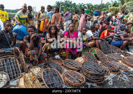 Trockenfisch zum Verkauf auf einem Markt, Mbandaka, Provinz Equateur, Demokratische Republik Kongo, Afrika Stockfoto