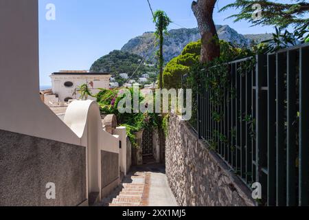 Enge traditionelle Gasse zwischen Häusern umgeben von Steinmauern in der Hauptstadt Capri Island, Bucht von Neapel, Kampanien, Italien, Europa Stockfoto