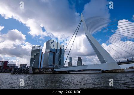 Erasmus-Brücke und Architektur von Kop van Zuid, Rotterdam, Niederlande, Europa Stockfoto