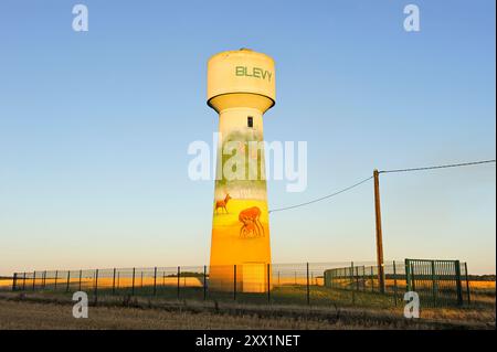 Wandgemälde von Ateliers Adeline auf einem Wasserturm in Blevy, Naturregion Thymerais, Departement Eure-et-Loir, Region Centre-Val de Loire Stockfoto