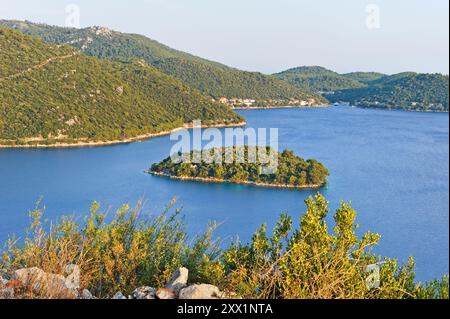 Makarac Inselchen in der Bucht von Velo Lago, Pasadur, Insel Lastovo, Kroatien, Südosteuropa Stockfoto