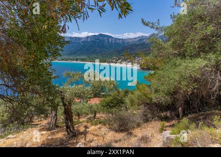 Blick auf Olivenbäume und Golden Beach in Chrysi Ammoudia, Thassos, Ägäis, griechische Inseln, Griechenland, Europa Stockfoto