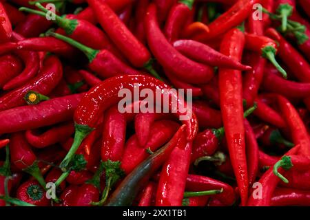 Die Textur vieler roter, heißer, langer Paprika wird im Geschäft angezeigt Stockfoto