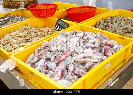 Meeresfrüchte-Auswahl in einem asiatischen Supermarkt. Frische Tintenfische und Garnelen in verschiedenen Größen in Kunststoffkisten zur Selbstbedienung Stockfoto