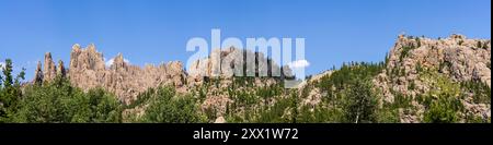 Blick auf die Needles, eine aus Granit bestehende Felsformation, vom Needles Highway/Highway 87, Custer State Park, Black Hills, South Dakota, USA. Stockfoto