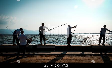 Izmir, Türkei. August 2024. Im Golf von Izmir sind Massenfische aufgrund des Klimawandels und der Umweltverschmutzung gestorben. Tote Fische spülten an der Küste, während Putzmannschaften gesehen wurden, die die Küste von toten Fischen säuberten. Quelle: İdil Toffolo/Alamy Live News Stockfoto