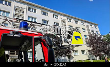 Tierrettung 20.08.2024,Chemnitz, Tierrettung am Dienstag wurde die Feuerwehr gegen 10,30 Uhr in Chemnitz zur Ernst- enge- Straße gerufen. Eine Katze befand sich auf dem Fensterbrett eines Fensters in 4 Stock und klagte laut. Sie saß in der prallen Sonne. Anwohner hatten bemerkt, das Katze schon oft tagsüber auf dem Fenstersims zubrachte und hatten den Eindruck die Besitzer sperren das Tier bei Ihrer Wohnungsabwesenheit aus. Die Anwohner riefen die Feuerwehr zur Bergung und Rettung der Katze und erstatteten Anzeige bei der Polizei, wegen verstoß gegen das Tierschutzgesetz und Tierquälerei. Stockfoto