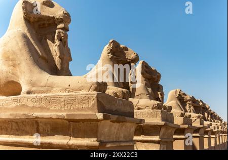 Tauchen Sie ein in die zeitlose Schönheit von Karnaks Sphinxes Avenue. Dieser berühmte Pfad, gesäumt von antiken Statuen, ist ein Zeugnis von Ägyptens Stockfoto