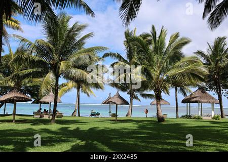 Palmen und Sonnenschirme auf Gras am Meer auf Mauritius Stockfoto