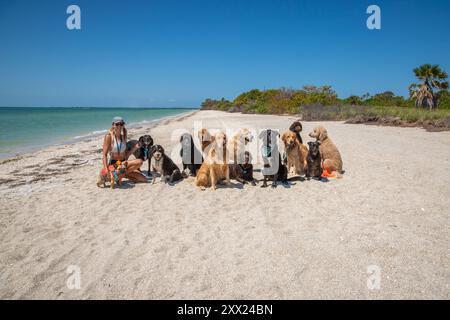 Lächelnde Frau am Strand mit einer großen Gruppe von verschiedenen Hunden, Fort de Soto, St. Petersburg, Florida, USA Stockfoto