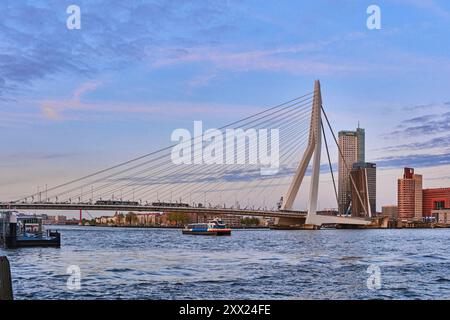 Blick auf die Erasmusbrug und die Skyline von Rotterdam Stockfoto