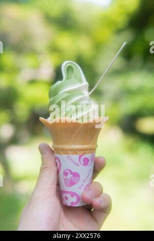 Matcha & Vanilla Eiskegel Stockfoto