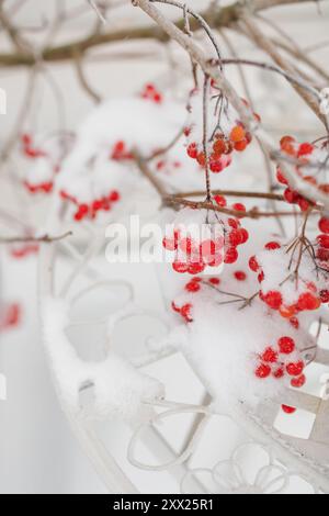 Nahaufnahme eines Weihnachtsarrangements mit verschneiten Aschenbeerenzweigen im Freien Stockfoto