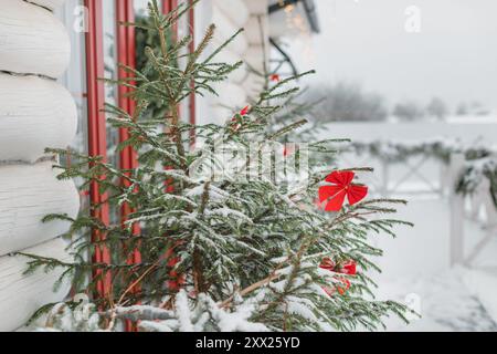 Nahaufnahme von Dekorationen an einem Weihnachtsbaum vor einem Haus an einem verschneiten Wintertag, Weißrussland Stockfoto