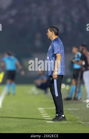 Campinas, Brasilien. August 2024. SP - CAMPINAS - 08/21/2024 - BRASILIANISCHE B 2024, GUARANI x SANTOS - Fabio Carille, Trainer von Santos, während des Spiels gegen Guarani im Brinco de Ouro Stadion für die brasilianische B 2024 Meisterschaft. Foto: Diogo Reis/AGIF (Foto: Diogo Reis/AGIF/SIPA USA) Credit: SIPA USA/Alamy Live News Stockfoto