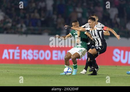 Campinas, Brasilien. August 2024. SP - CAMPINAS - 08/21/2024 - BRASILIANISCHER B 2024, GUARANI x SANTOS - Gabriel Bispo, Guarani-Spieler im Spiel gegen Santos im Brinco de Ouro Stadion für die brasilianische B 2024 Meisterschaft. Foto: Diogo Reis/AGIF Credit: AGIF/Alamy Live News Stockfoto