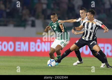 Campinas, Brasilien. August 2024. SP - CAMPINAS - 08/21/2024 - BRASILIANISCHER B 2024, GUARANI x SANTOS - Gabriel Bispo, Guarani-Spieler im Spiel gegen Santos im Brinco de Ouro Stadion für die brasilianische B 2024 Meisterschaft. Foto: Diogo Reis/AGIF Credit: AGIF/Alamy Live News Stockfoto